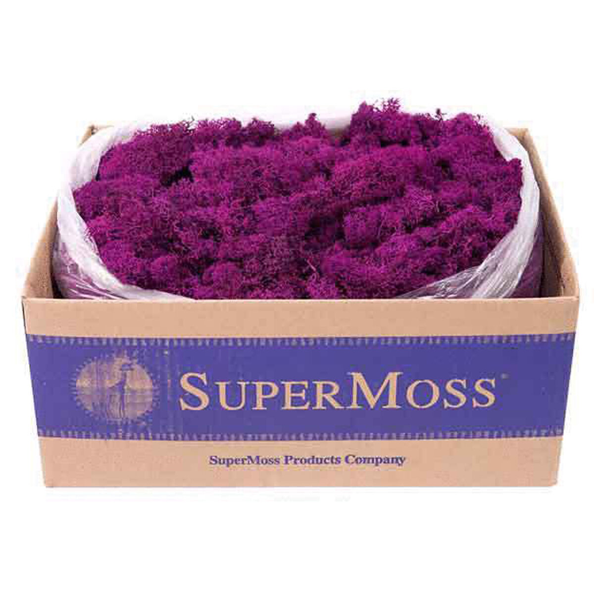 Reindeer Moss Preserved Fuchsia 3lbs Box