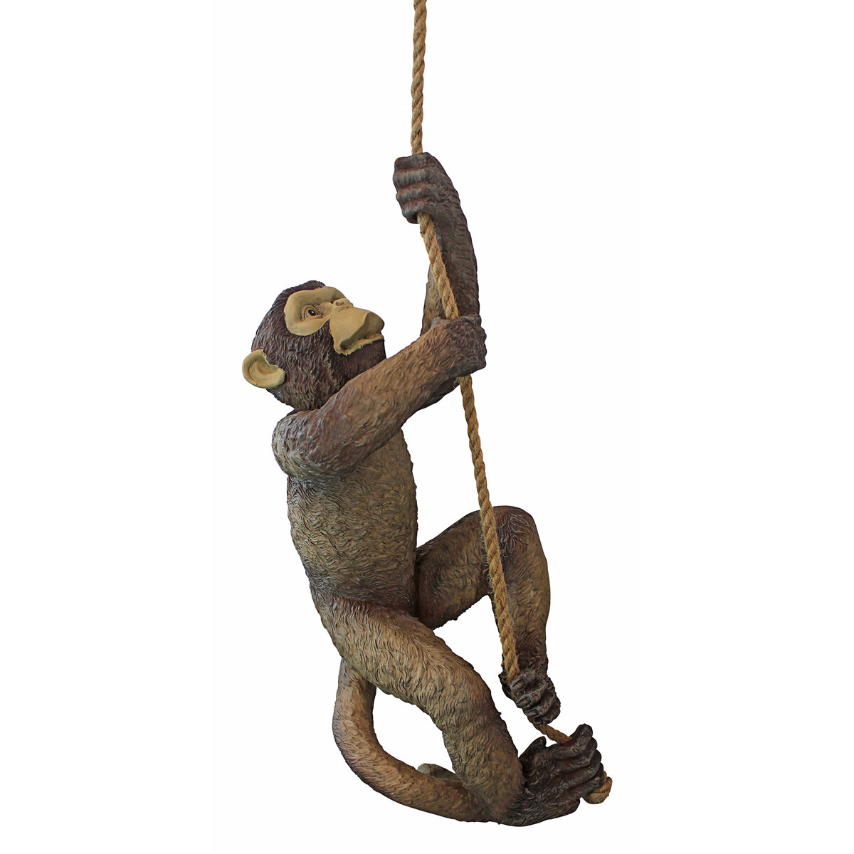 Makokou The Climbing Monkey