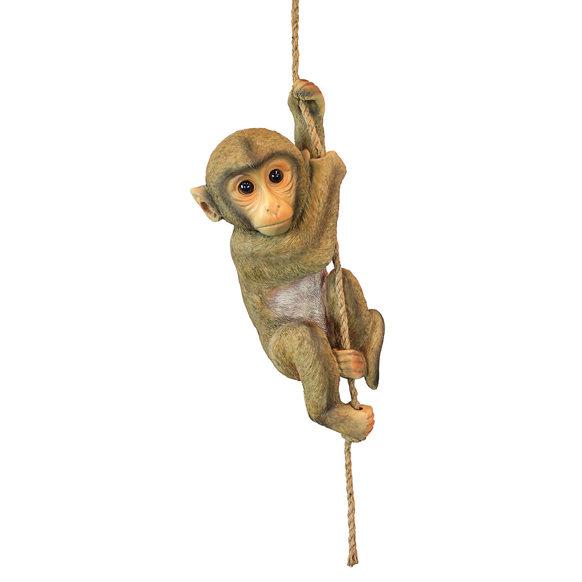 Dt Chico The Chimpanzee Hanging Monkey