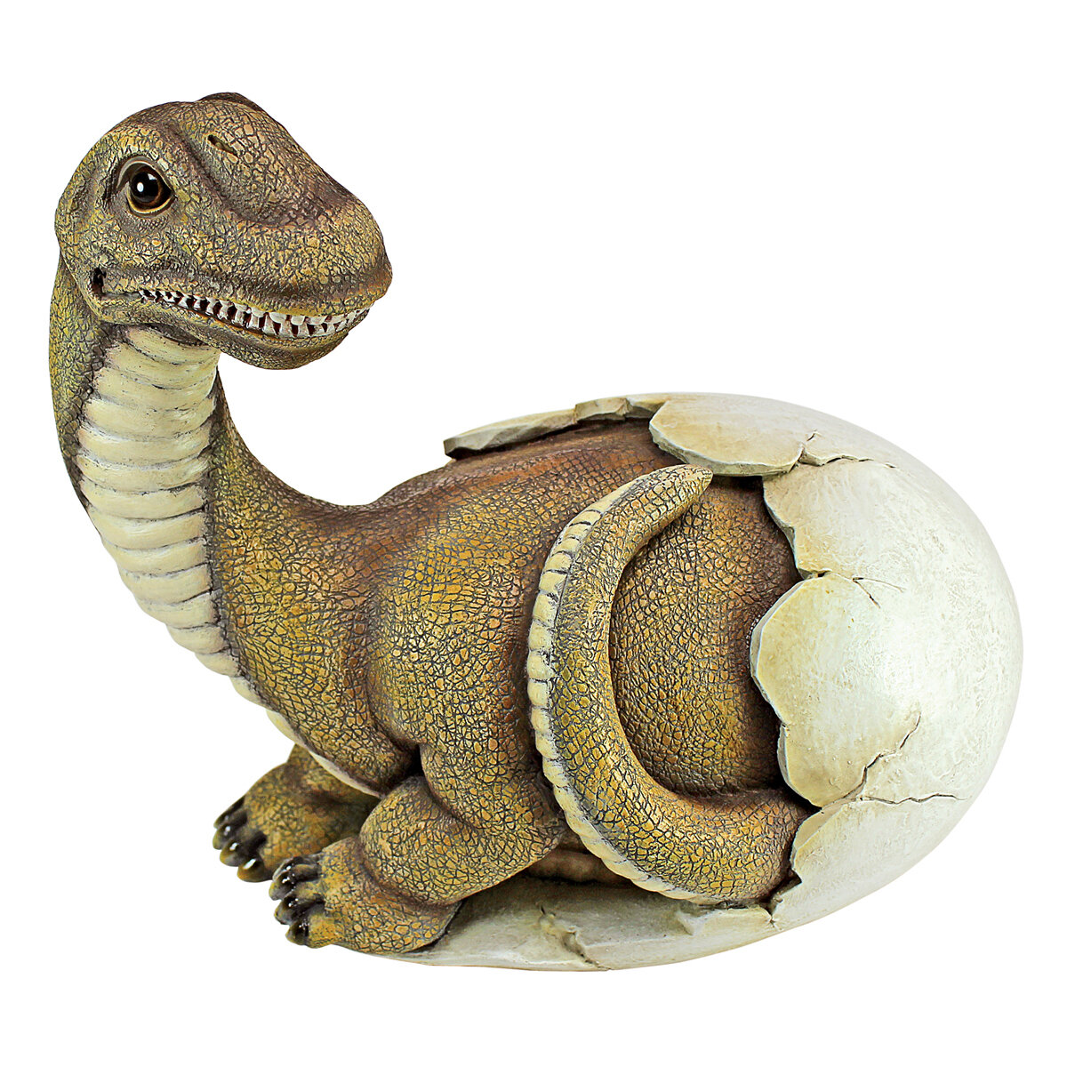 Dt Baby Brachiosaurus Dino Egg Statue