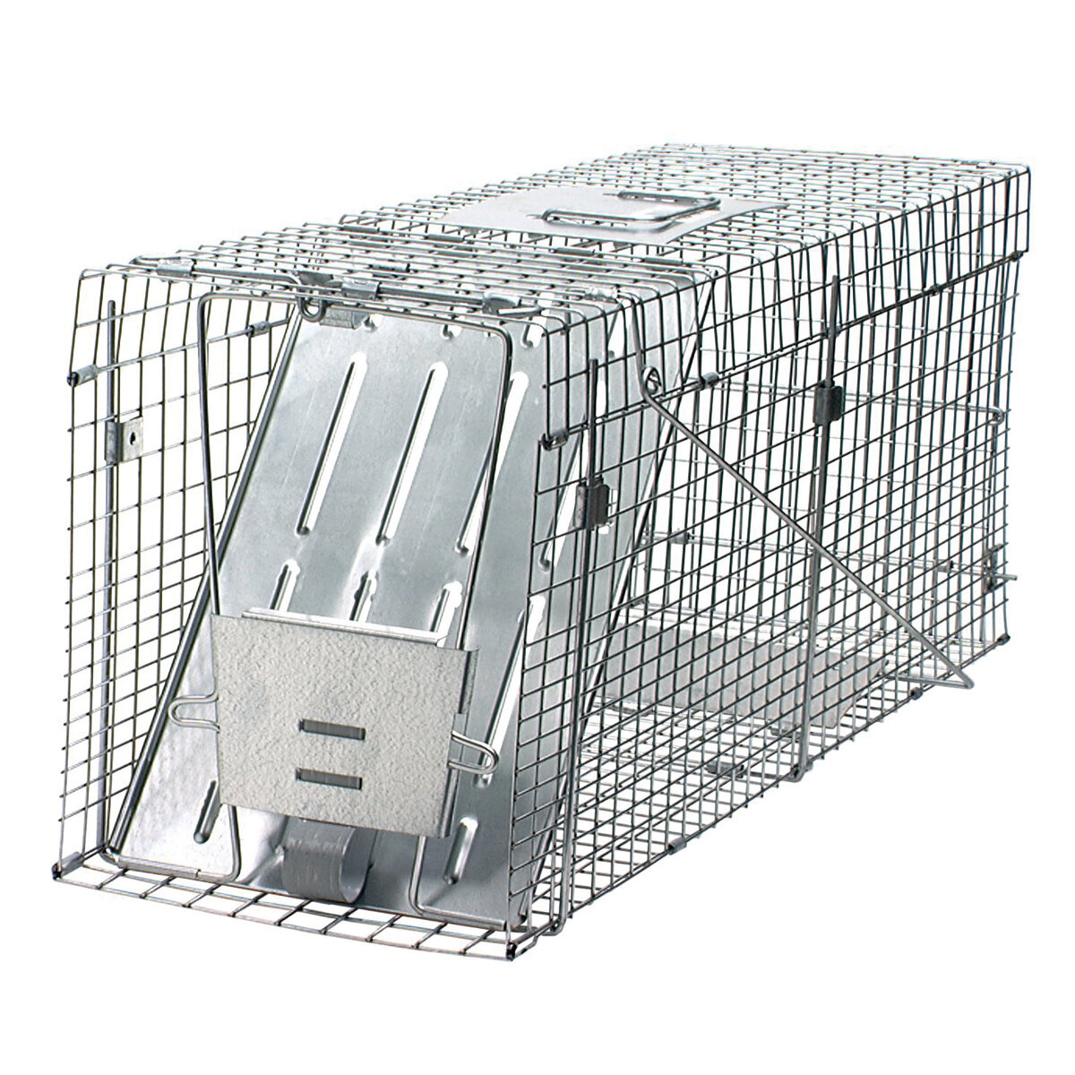 Prof. Racoon Trap 1 Spring Door 32x10x12