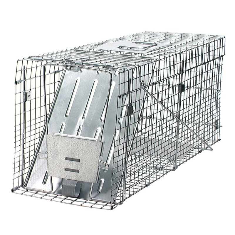 Prof. Racoon Trap 1 Spring Door 32x10x12 Prof. Racoon Trap 1 Spring Door 32x10x12