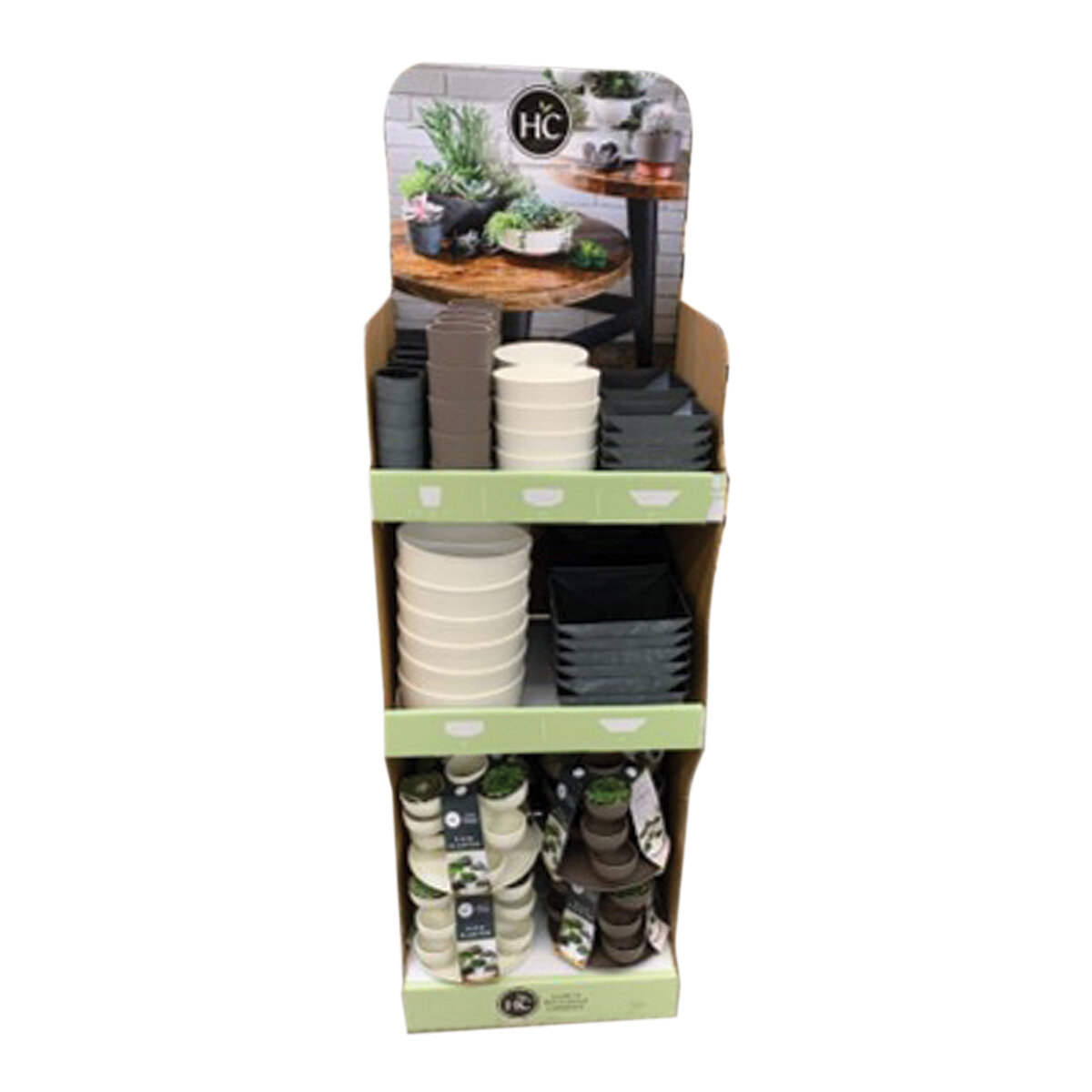 Succulent Variety Display (112 Pcs)