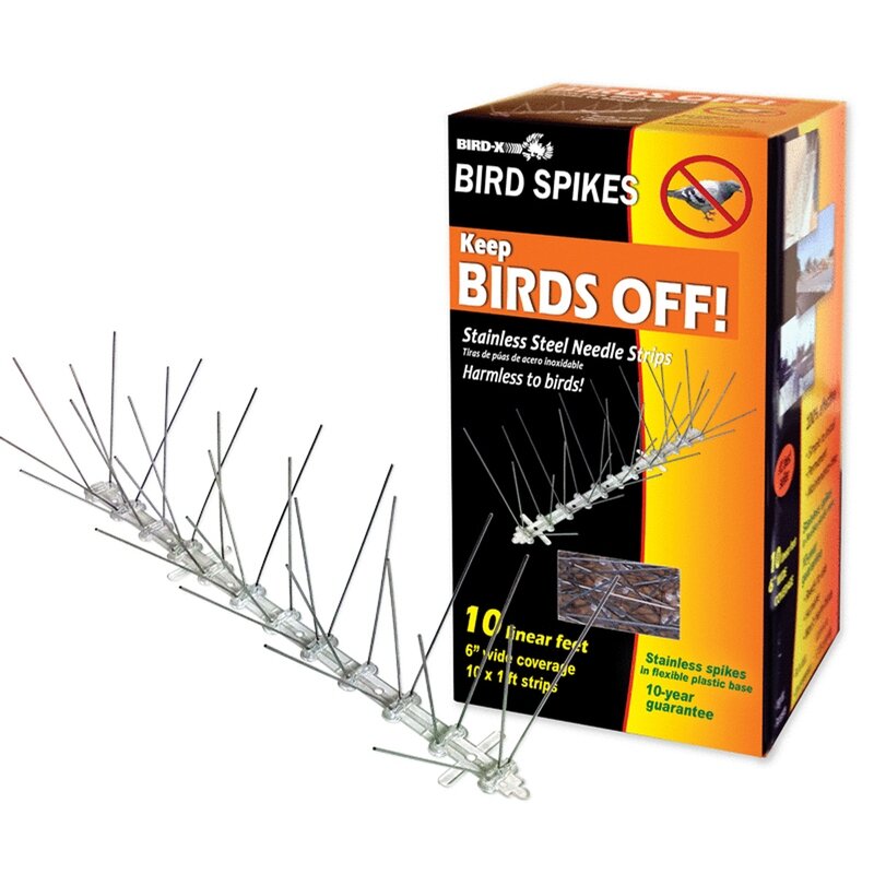 Bird Spikes Stainless Steel 10'