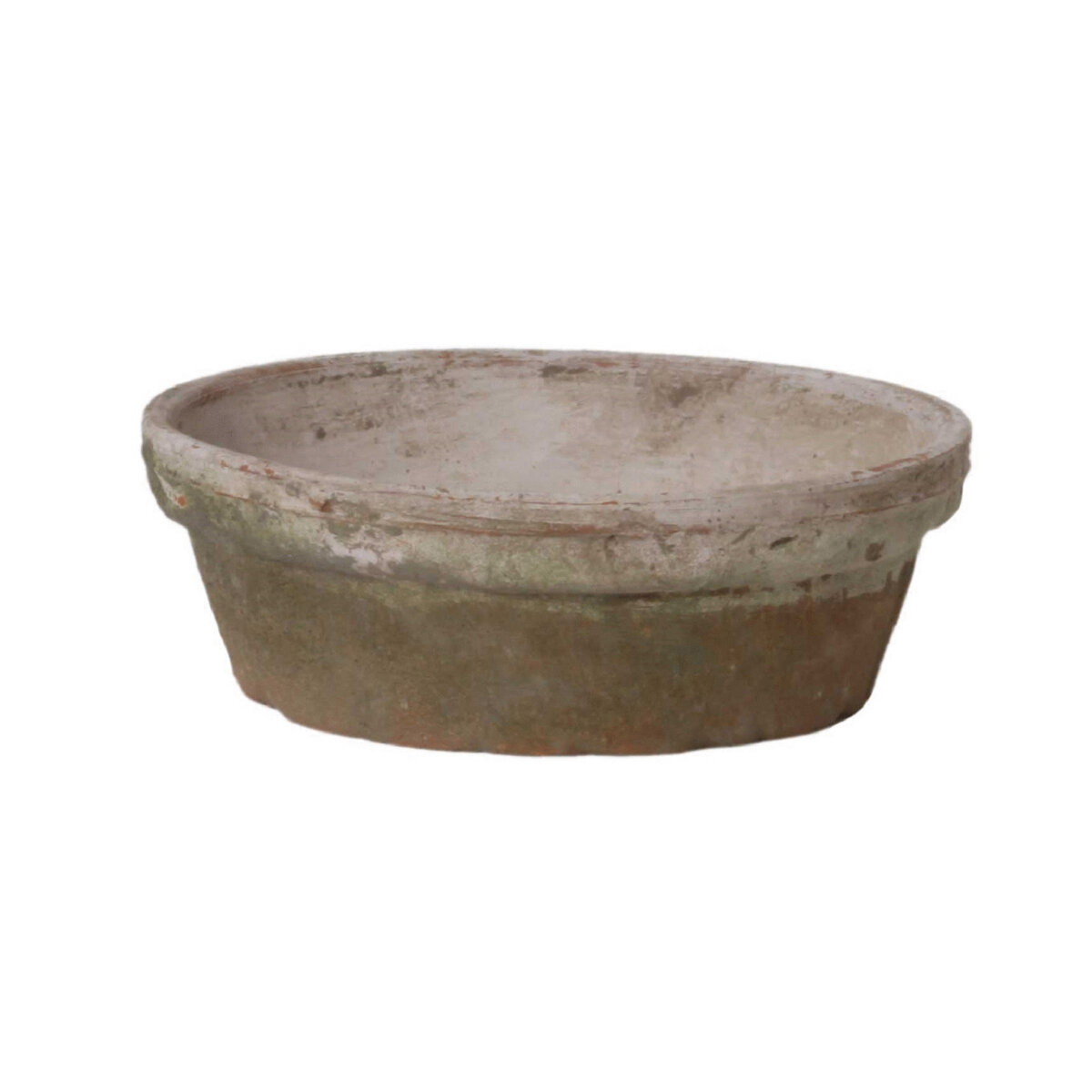 Rustic Dish Garden - Medium - 8" X 3"