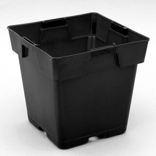 Jumbo Square Pot Black 5.5 Jumbo Square Pot Black 5.5" 1 gal CS (288pcs)