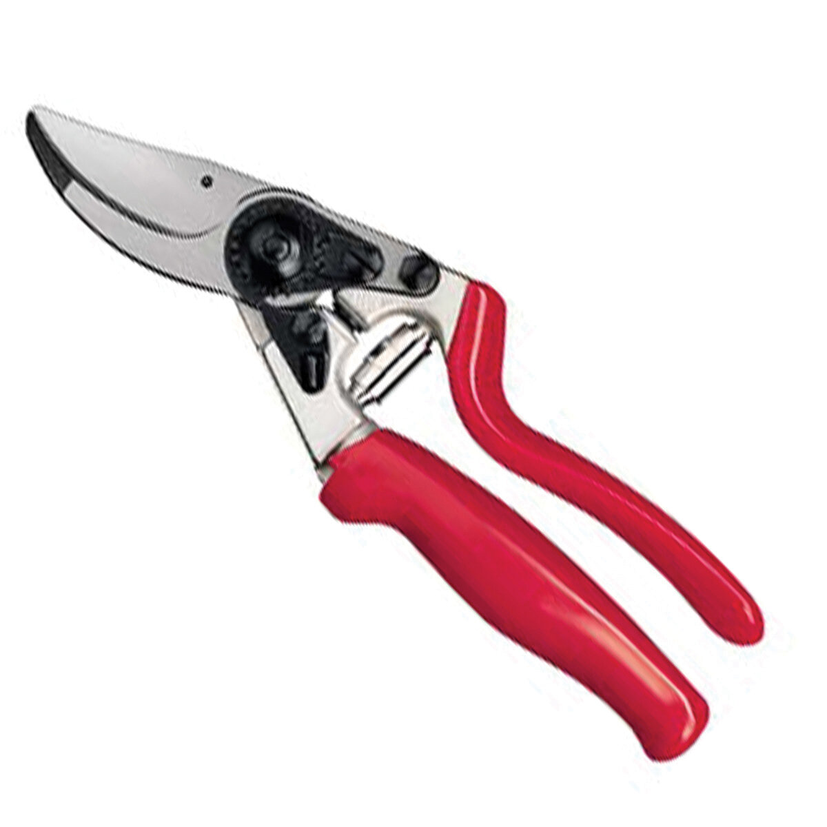 Felco Pruner #7