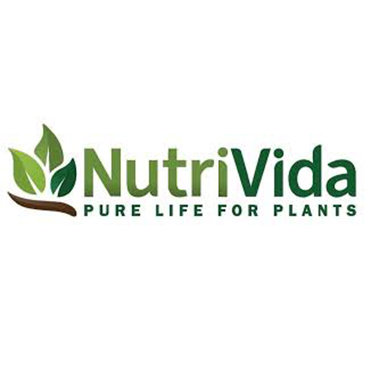 Nutrivida Pyro Phyllite Clay 15 kg