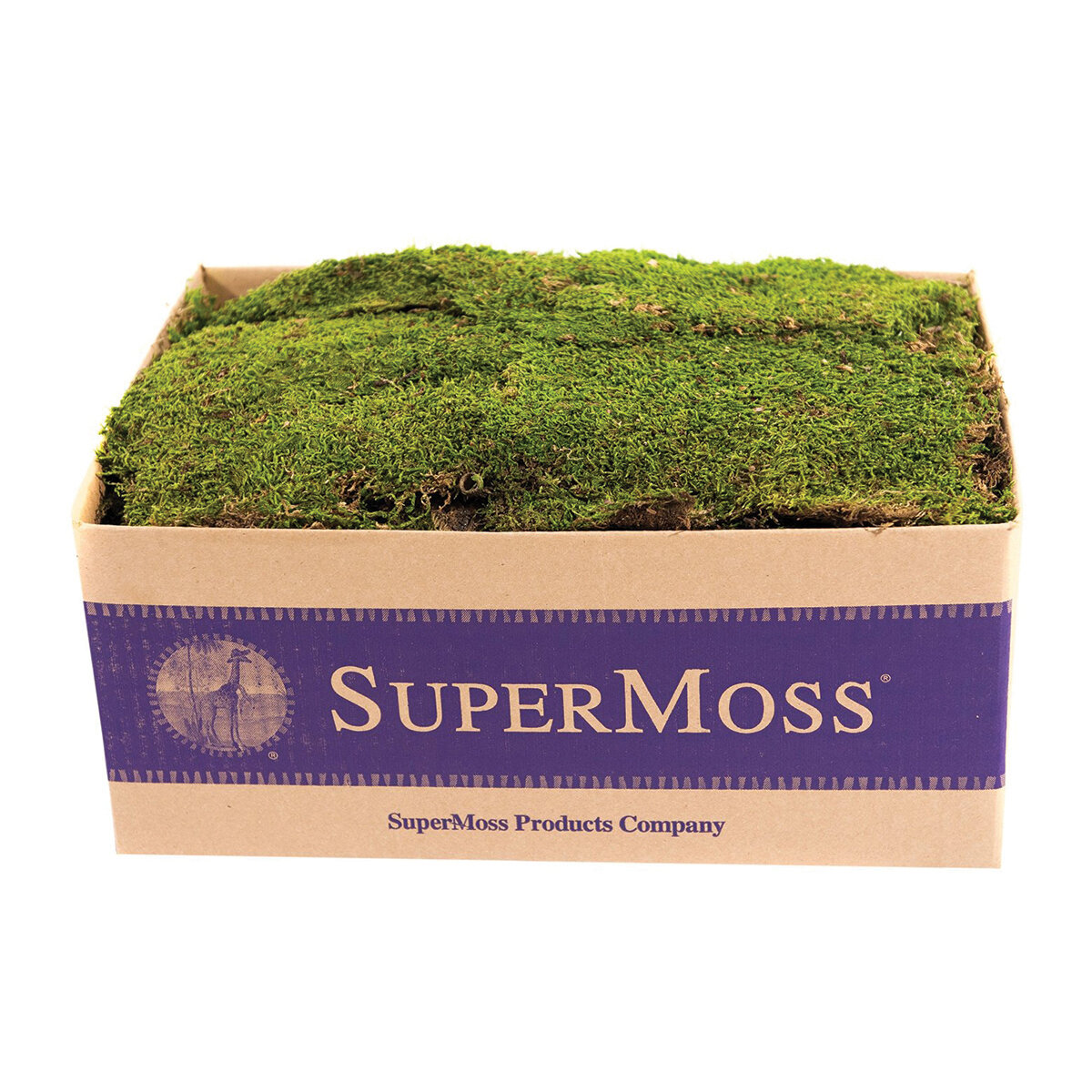Sheet Moss Preserved Fresh Green 5lb Box