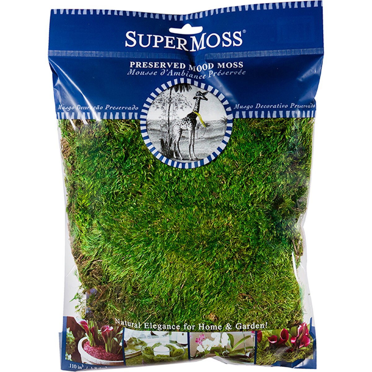 Mood Moss Preserved 4 Oz