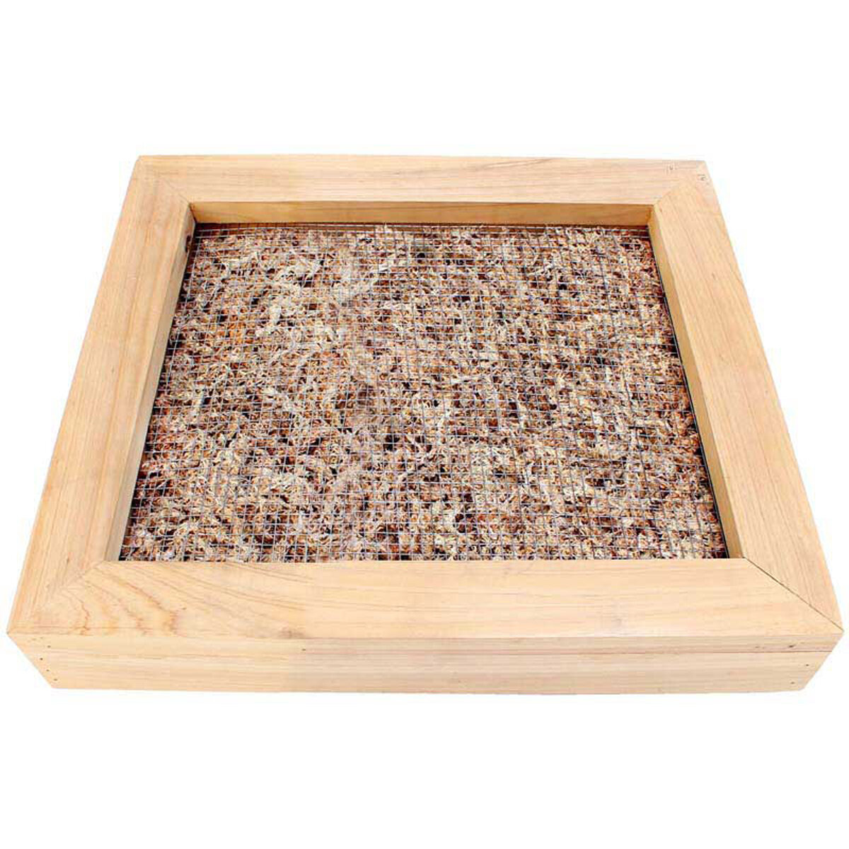 Sphagnum Moss Living Frame Natural 14" x 14" Frame