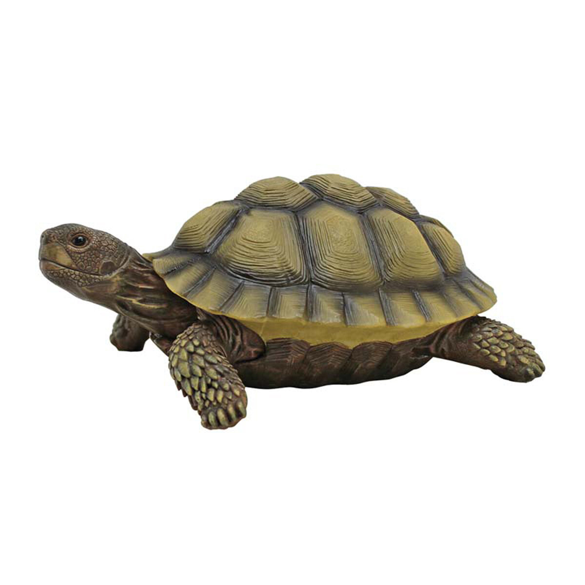 Gilbert The Box Turtle Statue