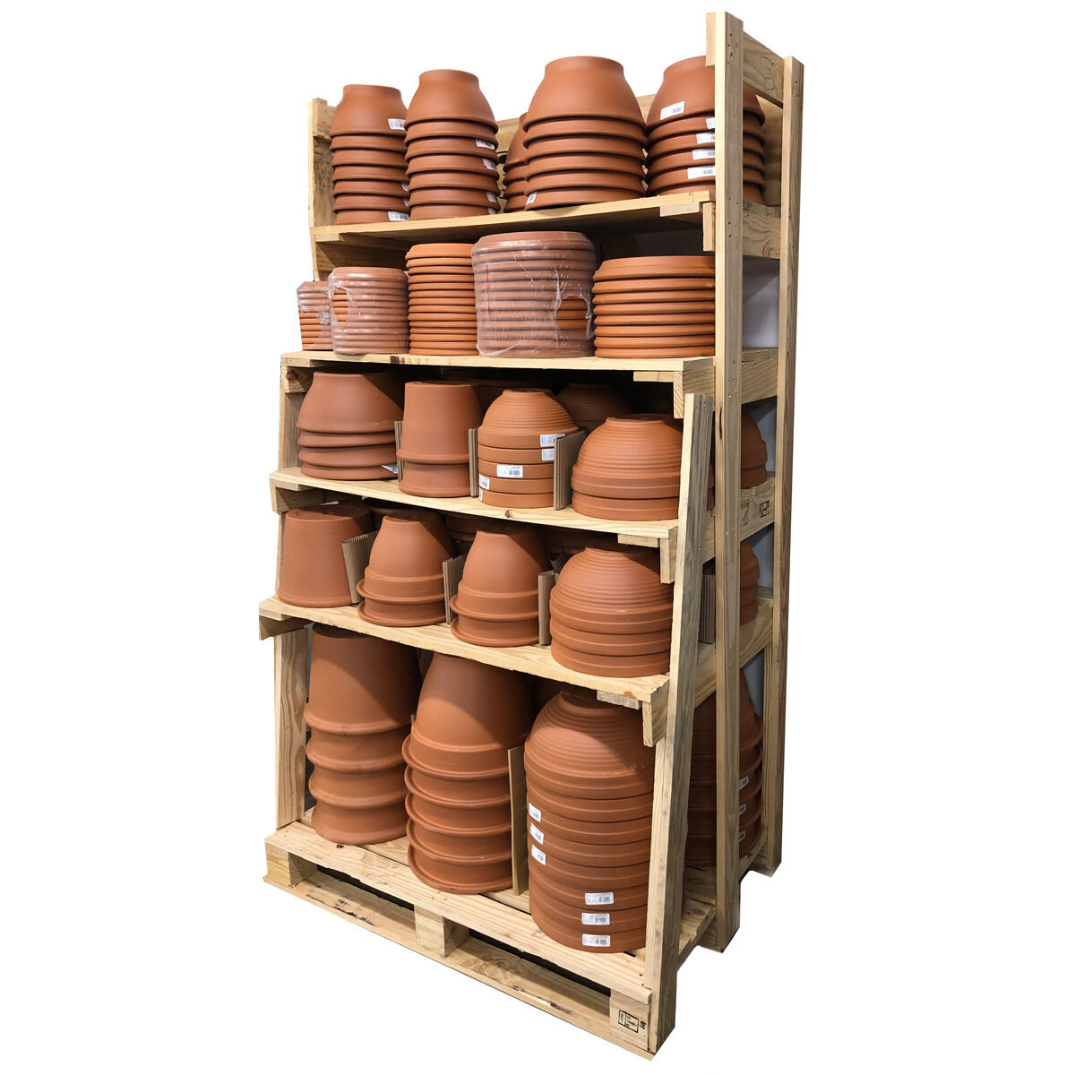 Cotto Garden Display DS (234pcs)