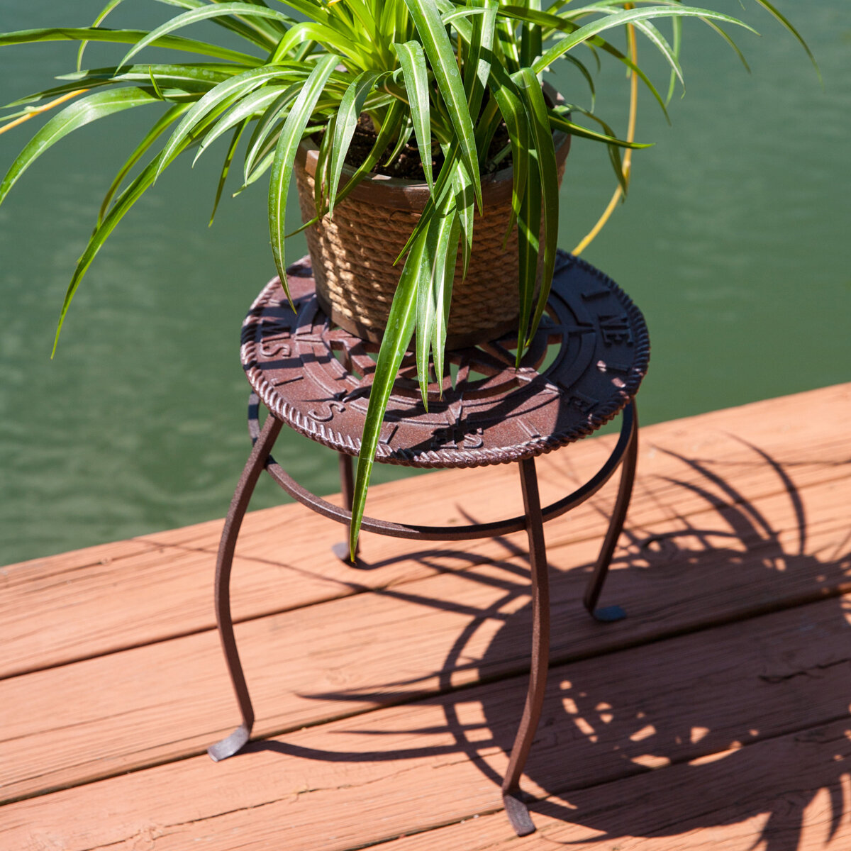 15" Compass Plant Stand Rust