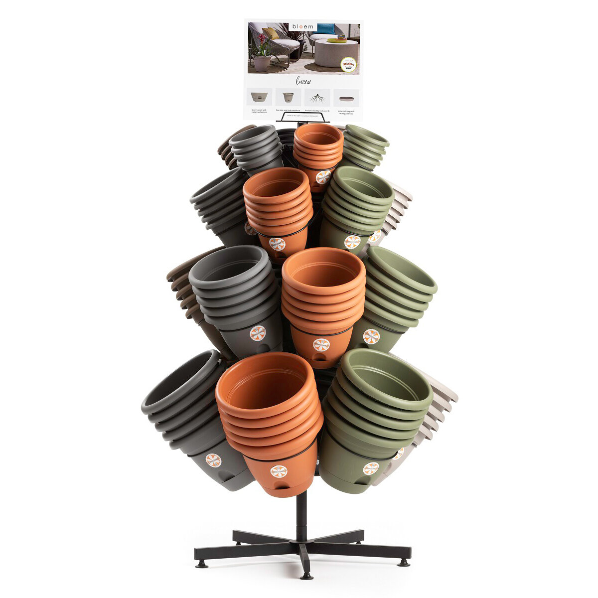 Lucca 6"-12" Vrs Clr (216pc)