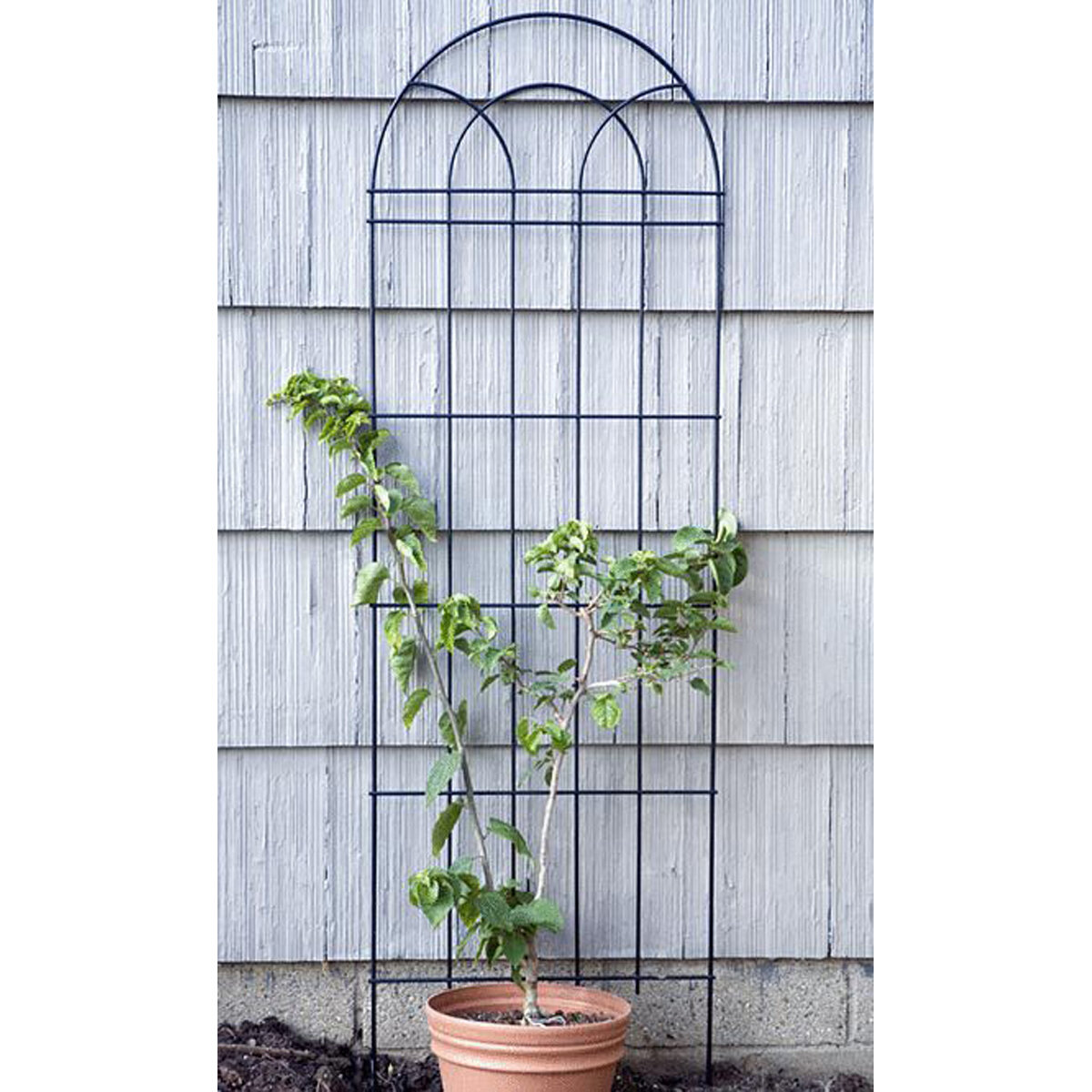 Classic Trellis  (72" Tall X 22" Wide)