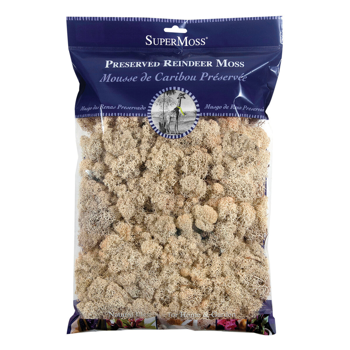 Reindeer Moss Preserved Natural 8oz Bag