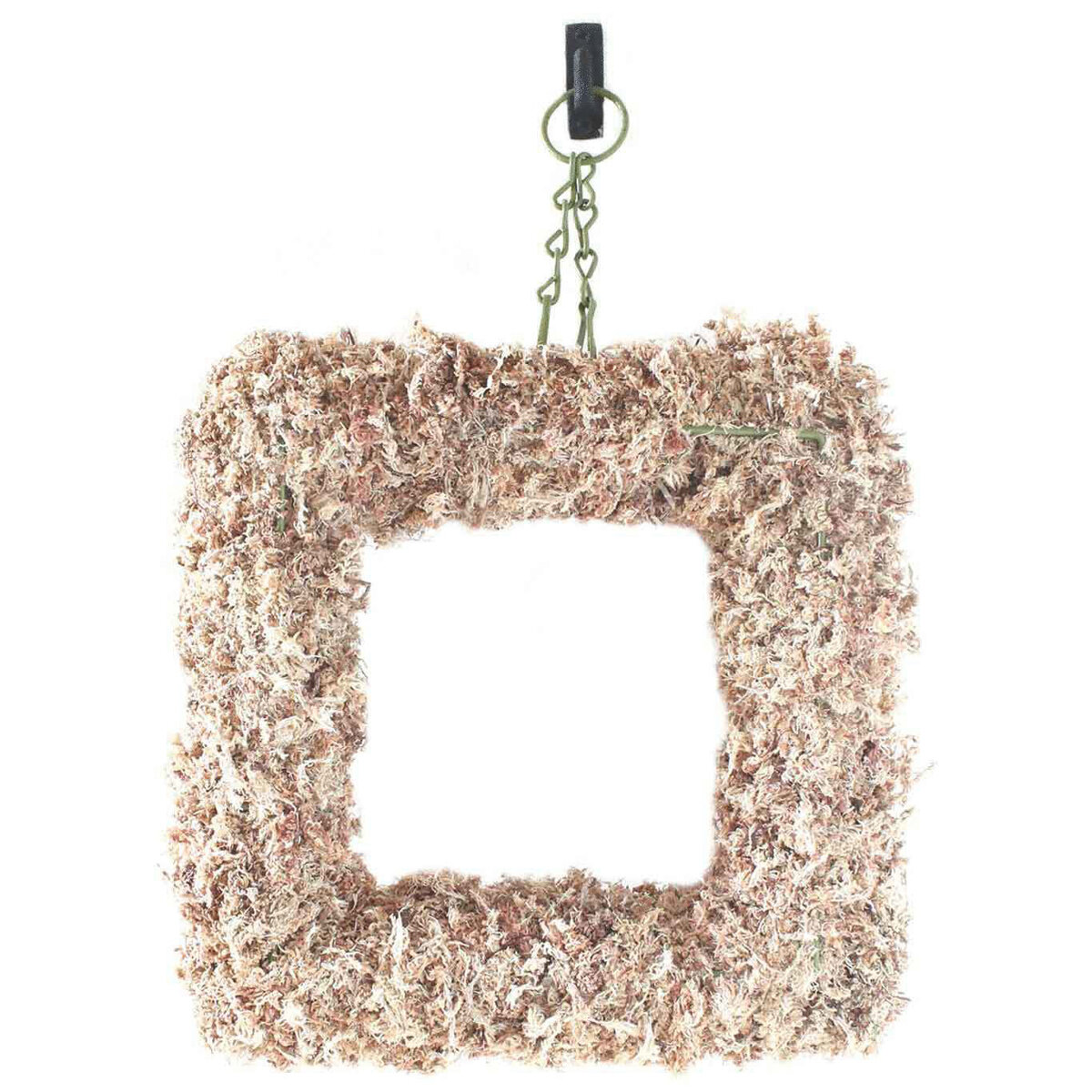 Sphagnum Moss Living Wreath Natural 11in Square