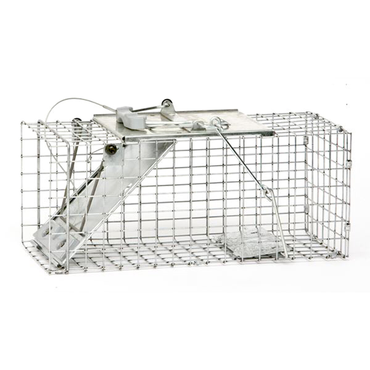 Easy Set Squirrel Trap 1 Spring Door