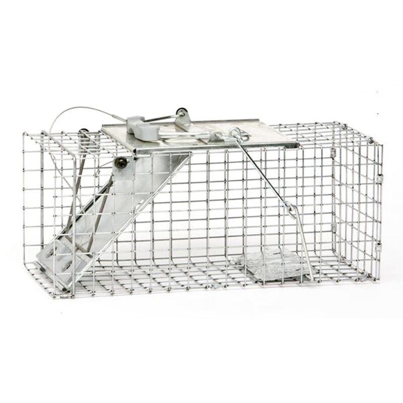 Easy Set Squirrel Trap 1 Spring Door Easy Set Squirrel Trap 1 Spring Door