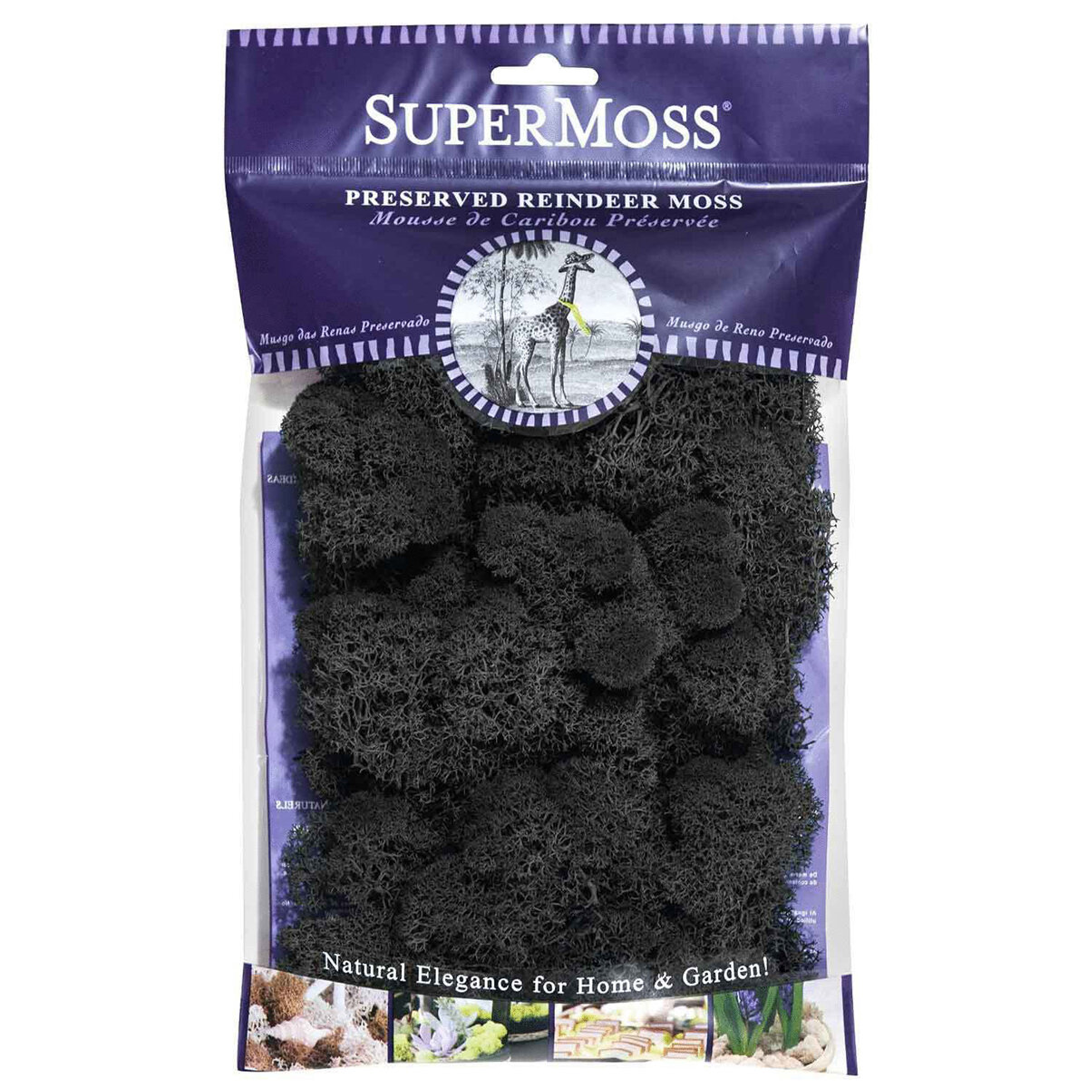 Reindeer Moss Preserved Black 2oz Bag