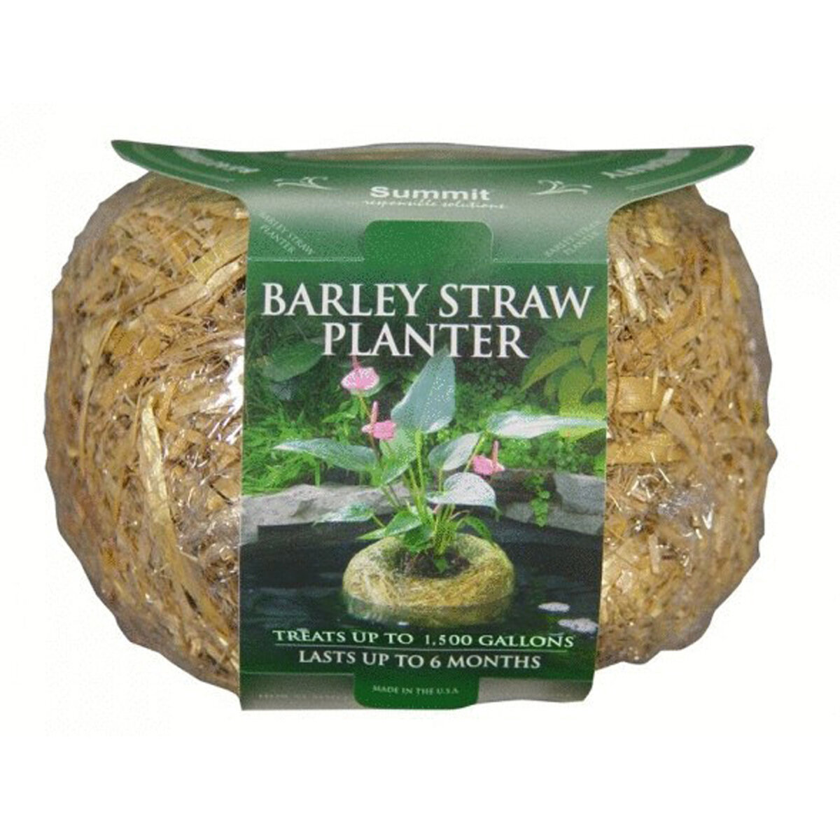 Barley Straw Planter Sm 8Oz Treats
