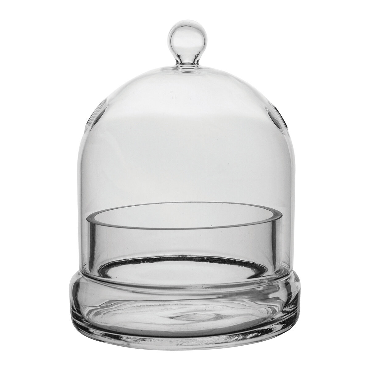 4 3/4" x 6" Terrarium Cloche