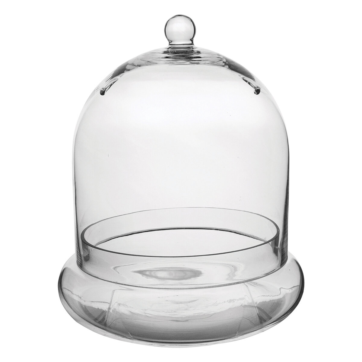 10" x 11 3/8" Terrarium Cloche