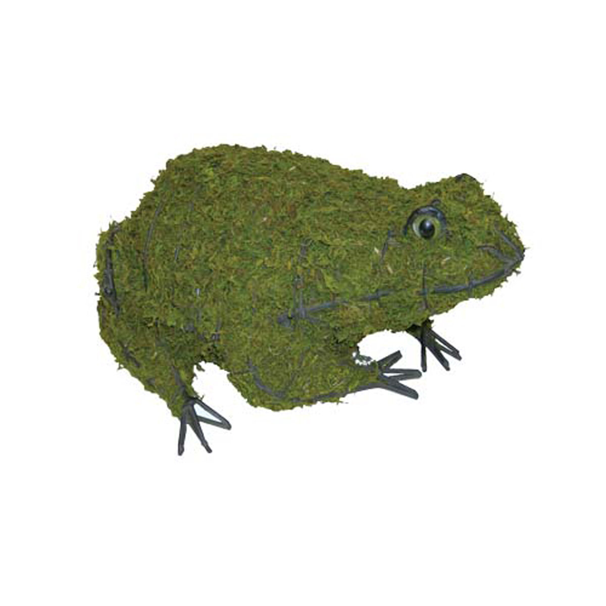 Frog - 6" (Mossed) Topiary - 6" X 13" X 10"