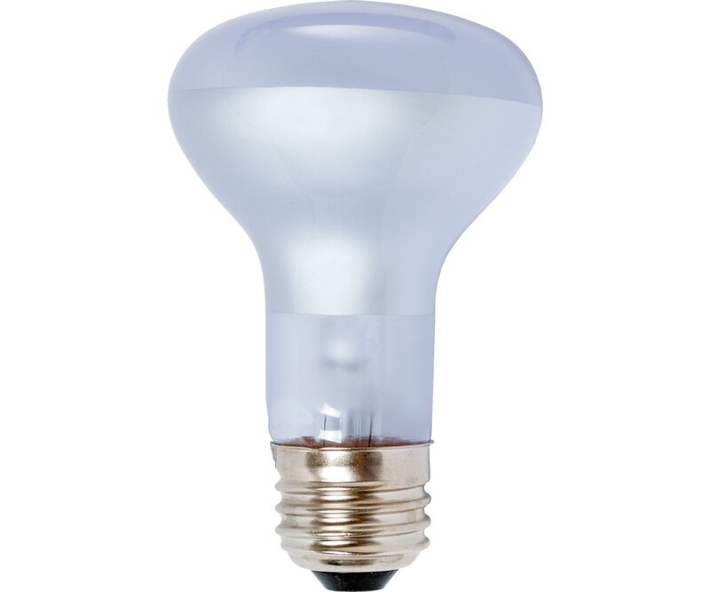 Agrosun Dayspot Incandescent Bulb, 60W Agrosun Dayspot Incandescent Bulb, 60W