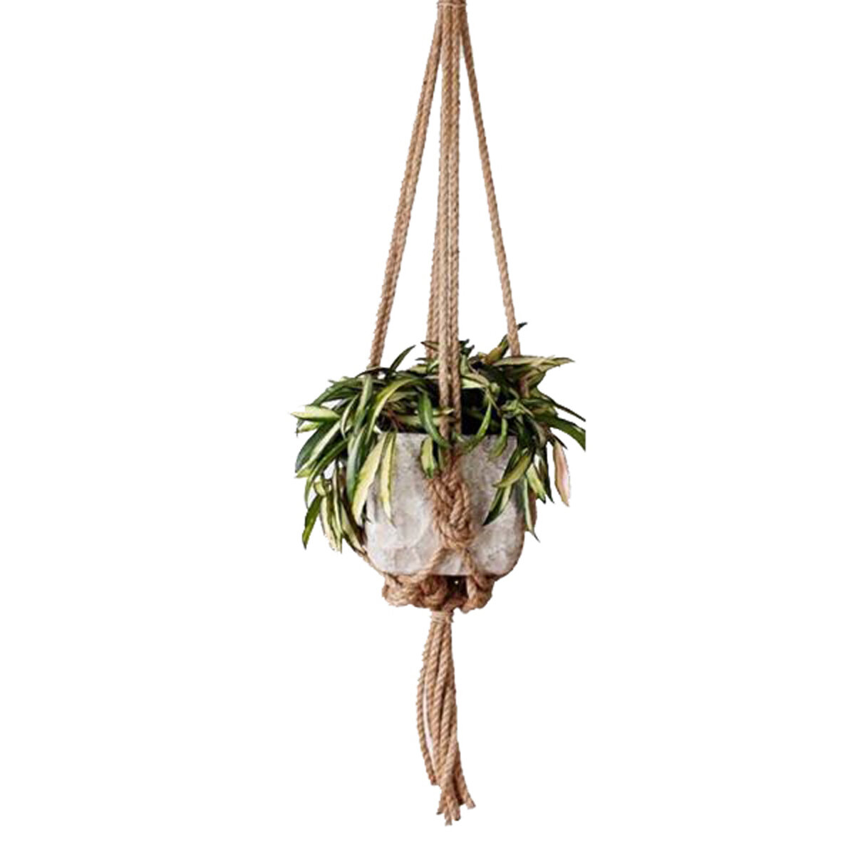 36 Inch Natural Knotted Rope Hanger