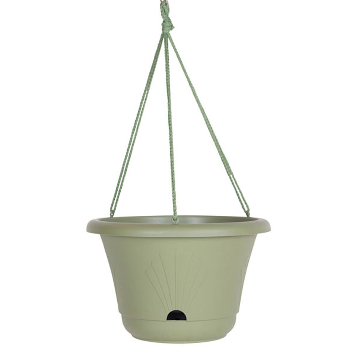 13" LuccaHanging Basket Living Green