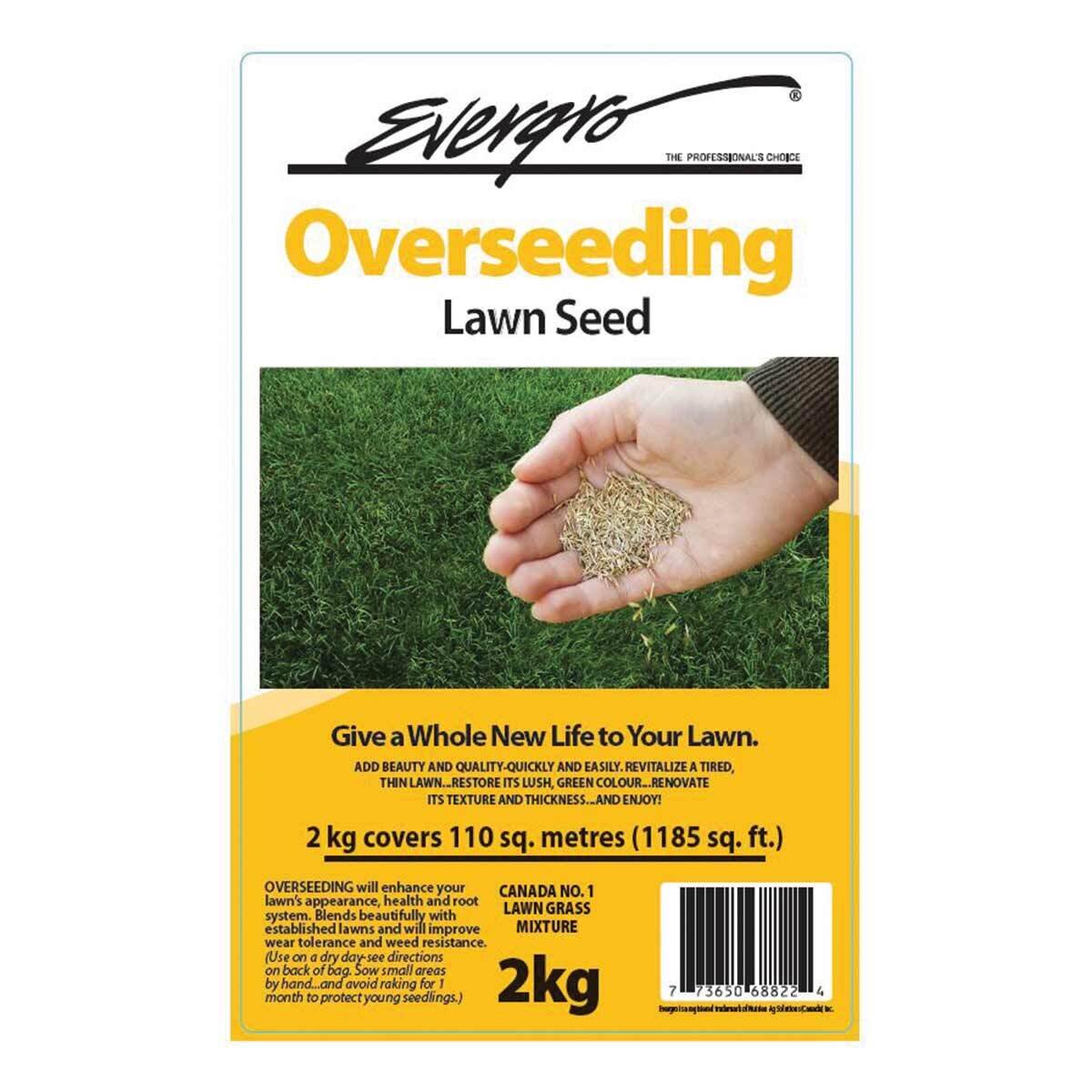 Overseeding Grass Seed  2Kg
