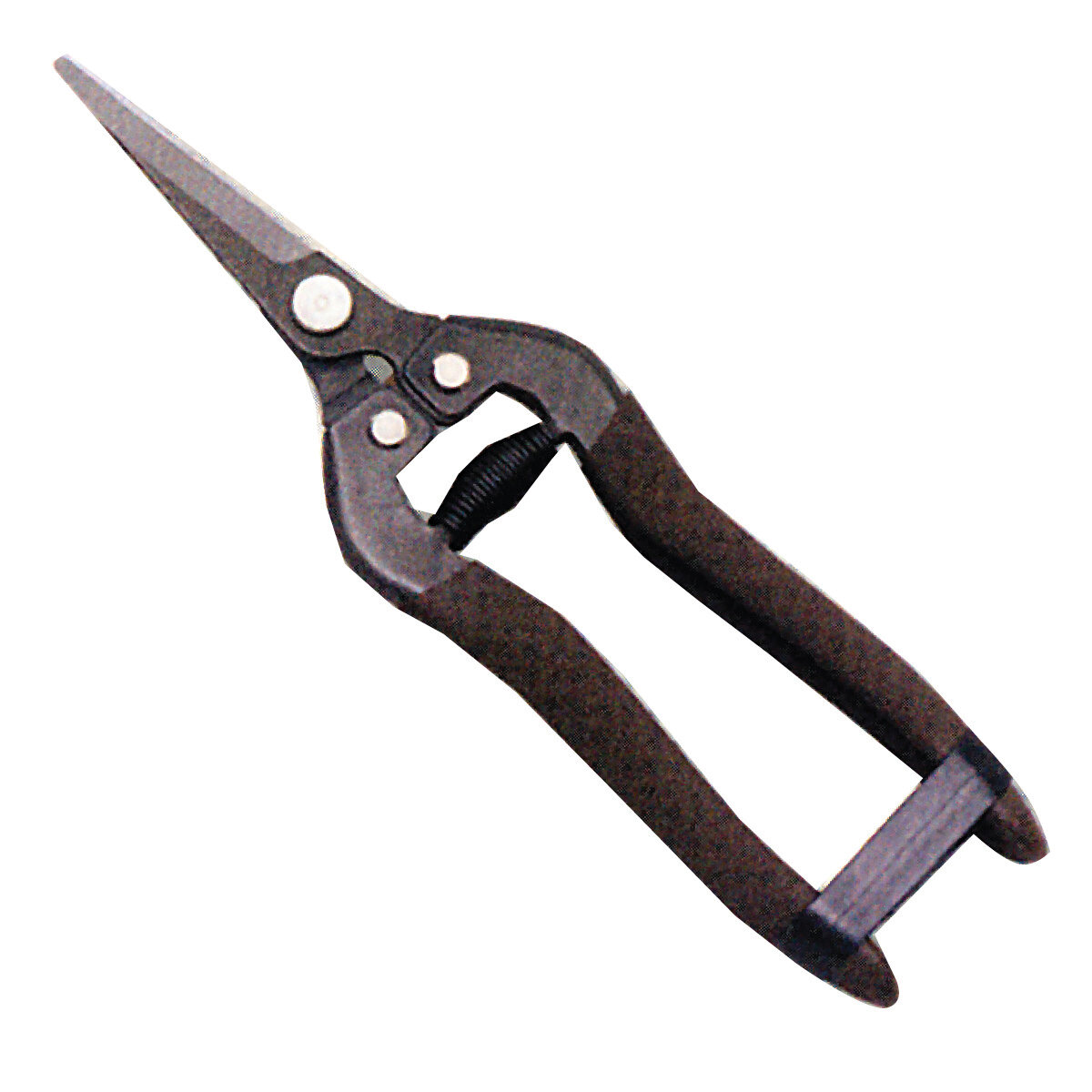 Classic 8" Snipper Shear