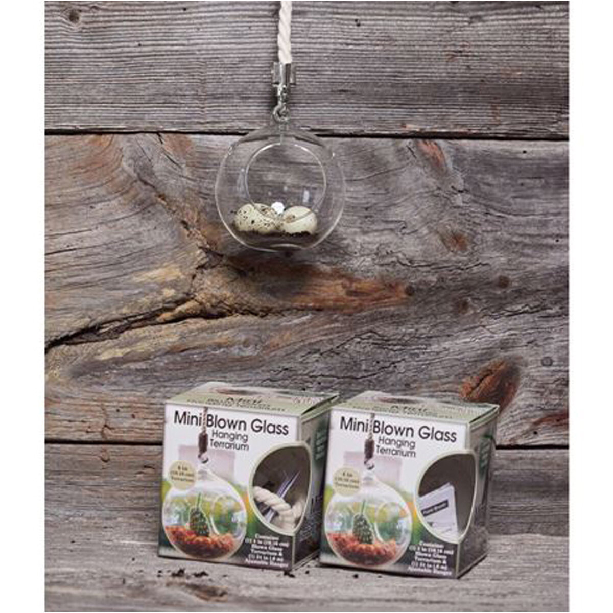 Hanging Mini Glass Terrarium W/Hanger