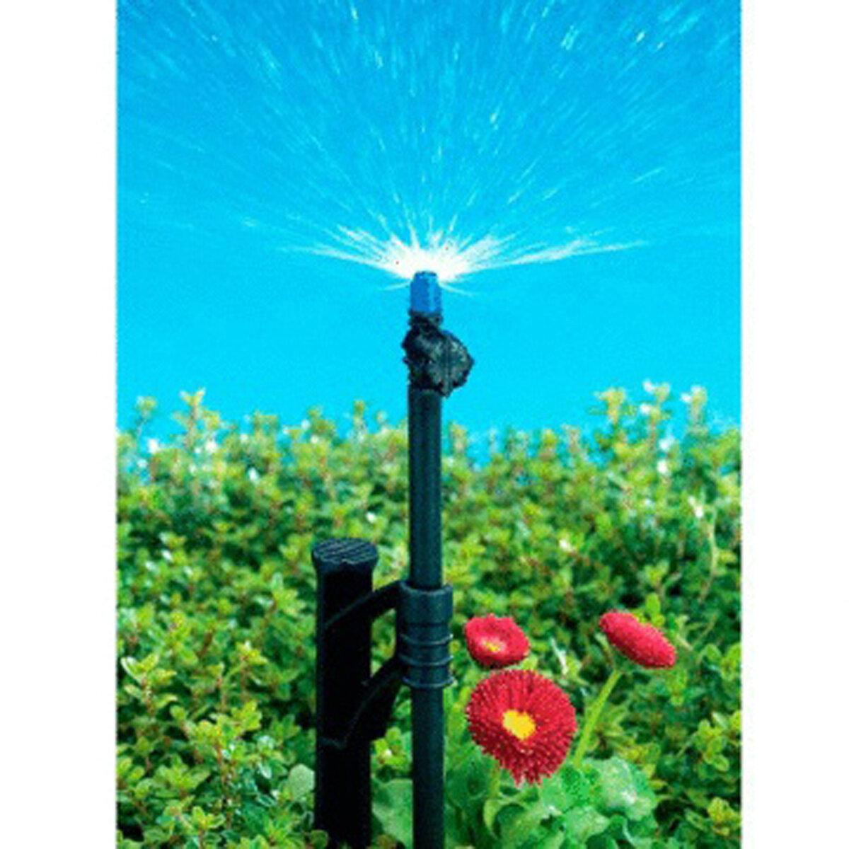 Half Circle Sprayer Assembly 1 Per Card