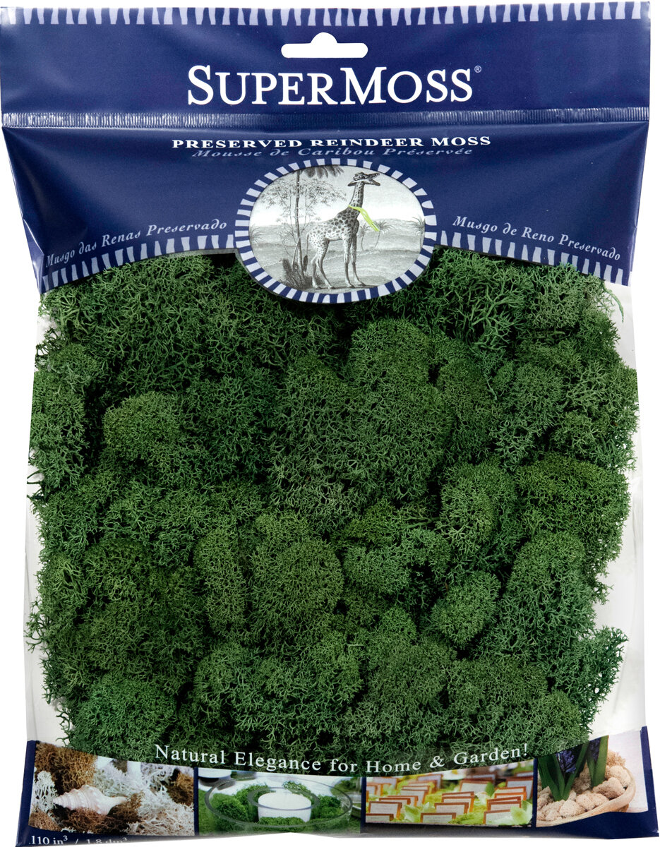 Reindeer Moss Preserved Forest 4oz Bag