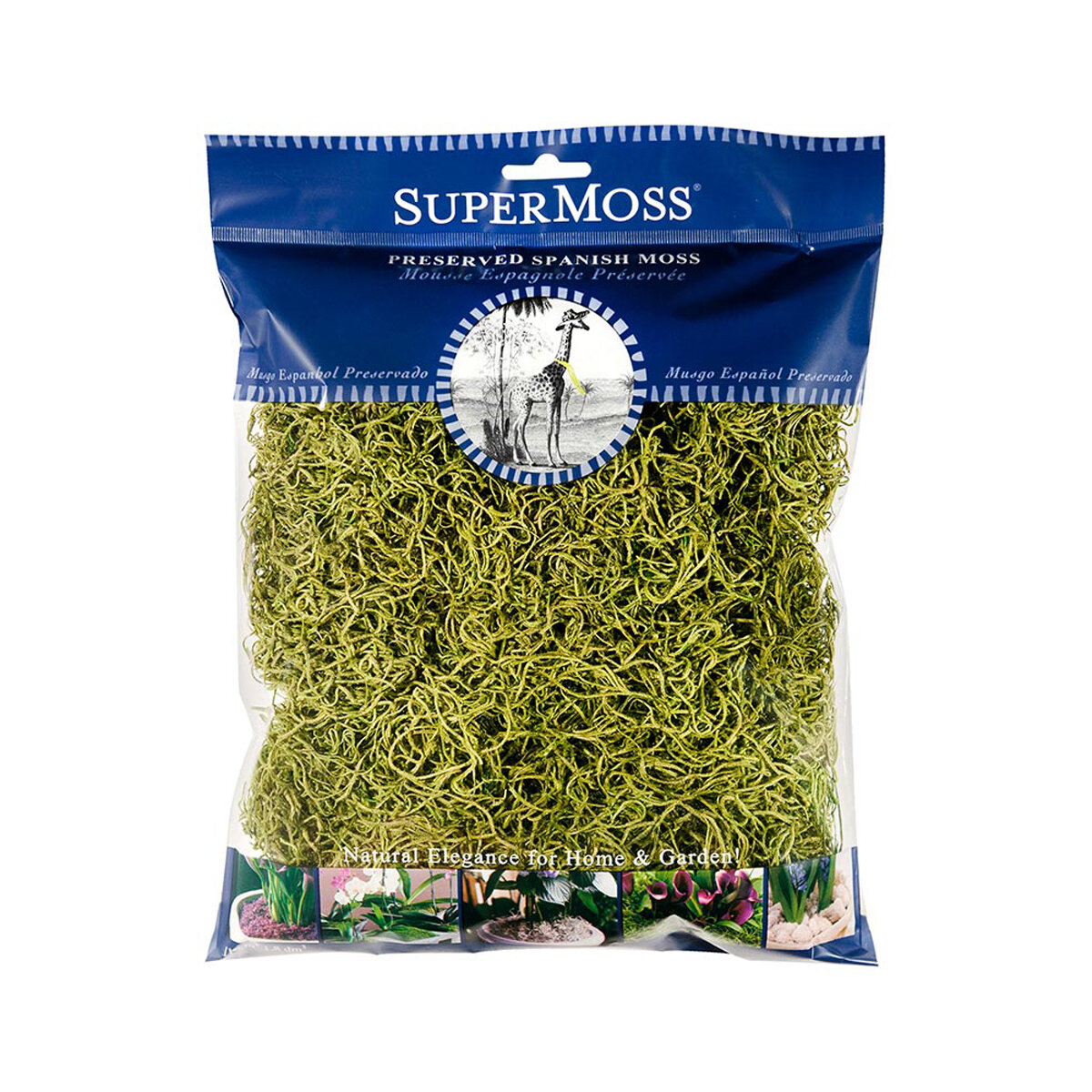 Spanish Moss Preserved Chartreuse 4oz Bag