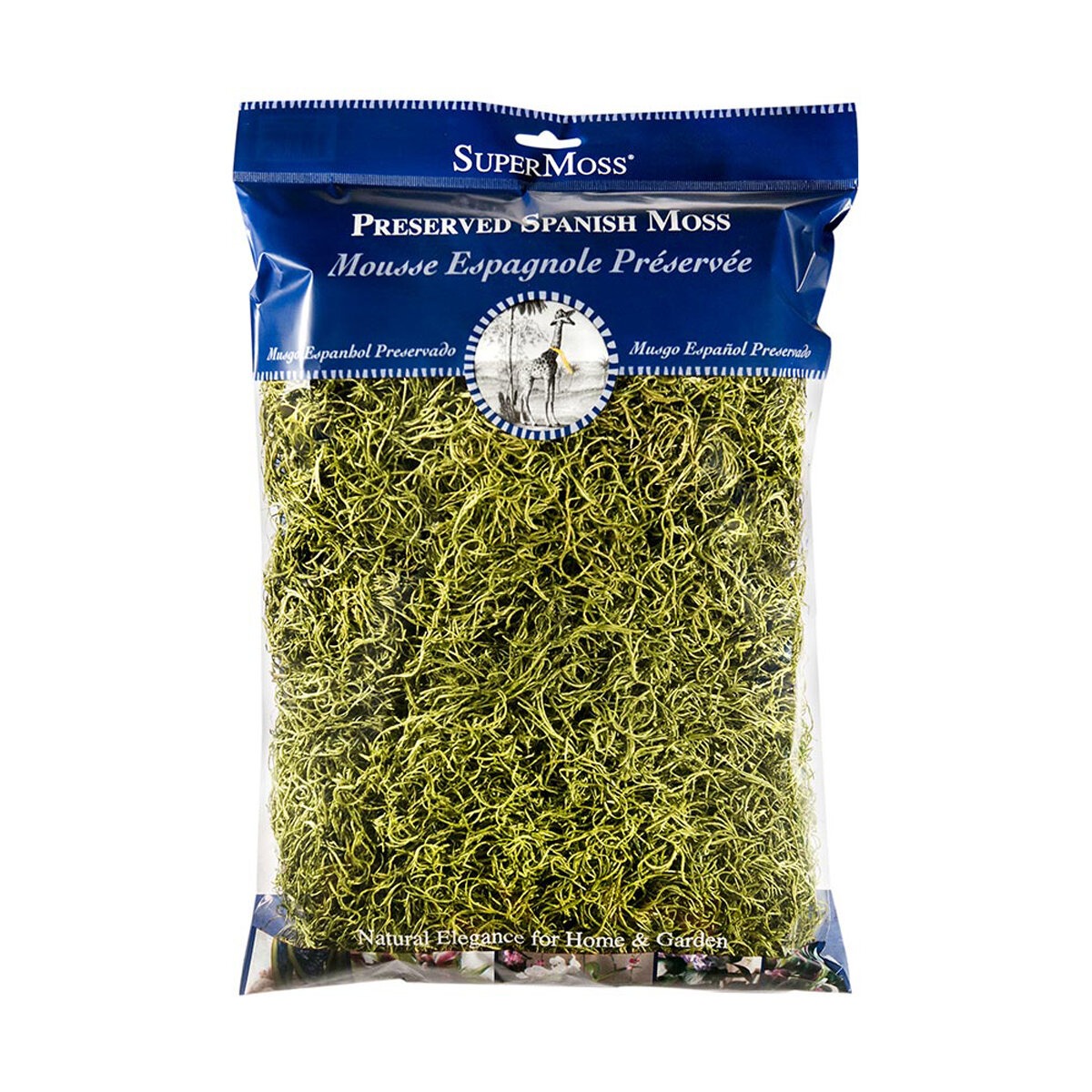 Spanish Moss Preserved Chartreuse 8oz Bag