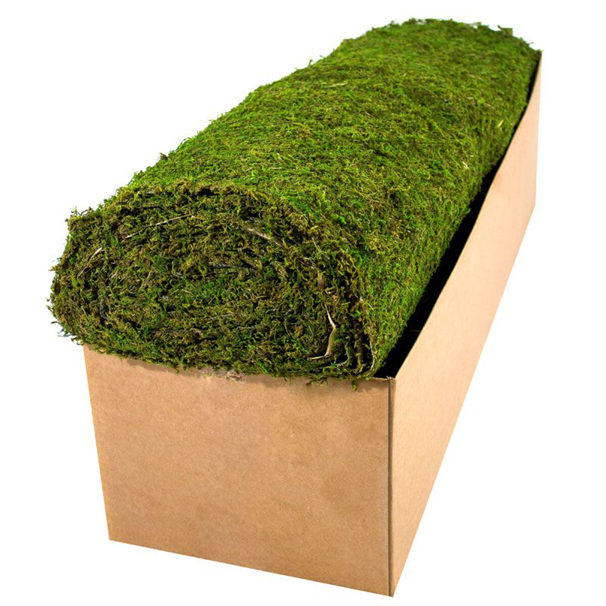 InstantGreen Moss Mat Green 3ft x 24ft