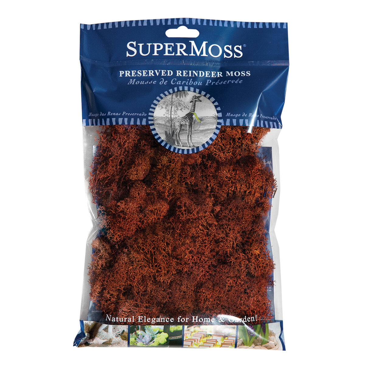Reindeer Moss Preserved Rust 2oz Bag