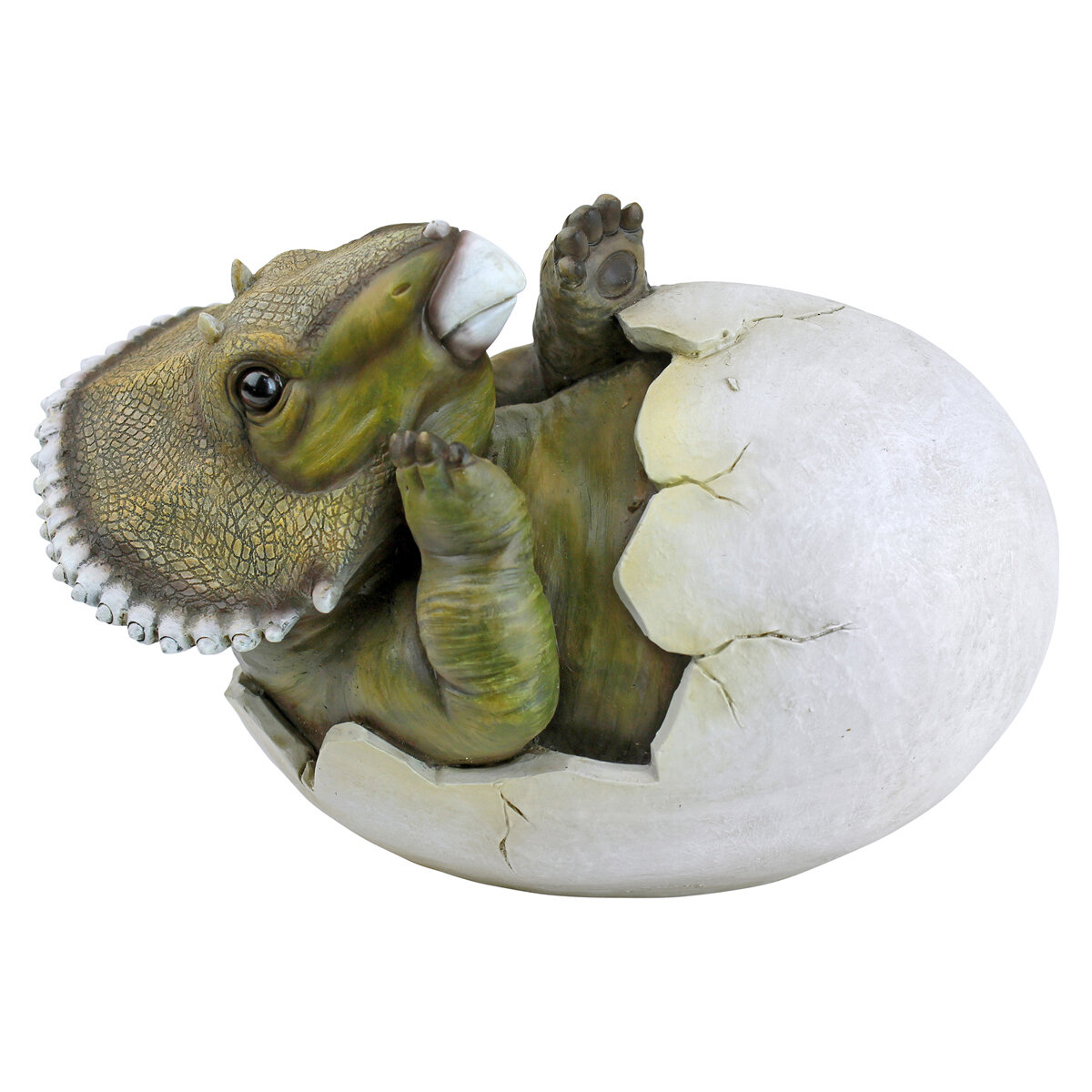 Baby Triceratops  Dinosaur Egg