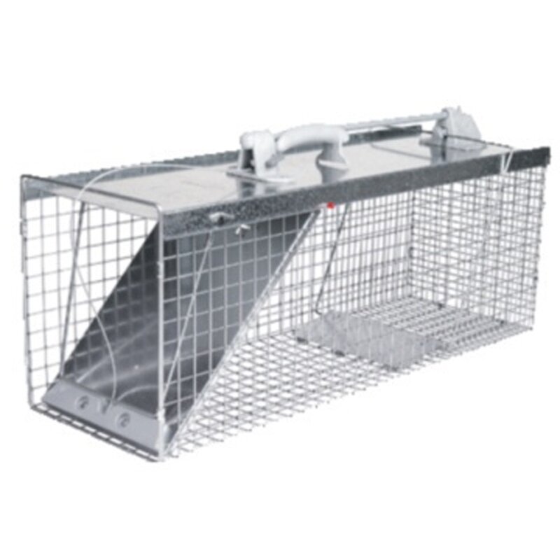 Racoon EasySet Trap Single Spring Door Racoon EasySet Trap Single Spring Door