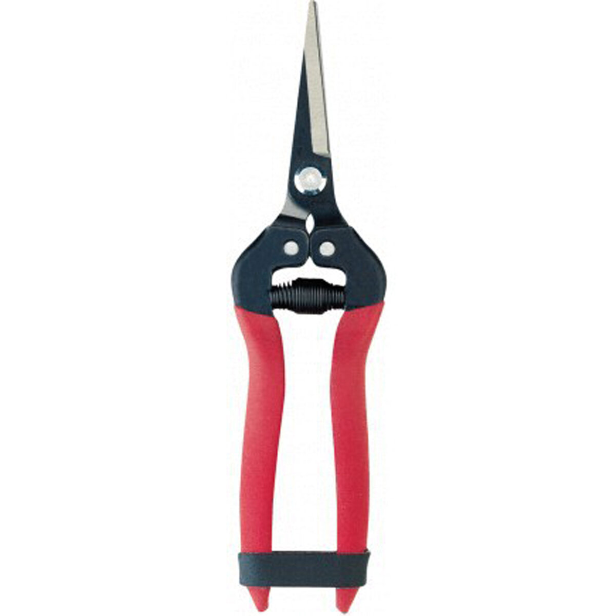Long Snip Pruners