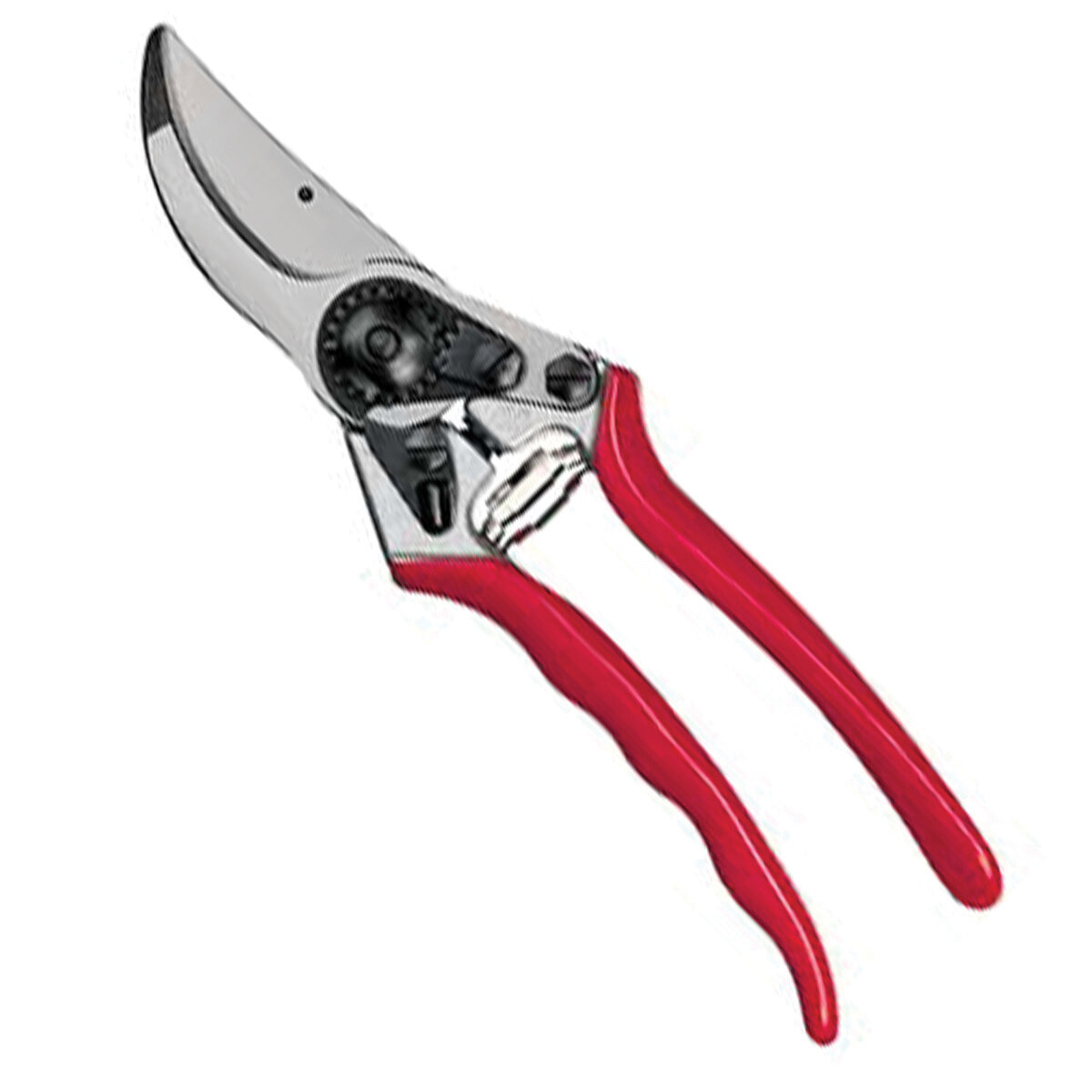 Felco Pruner #11