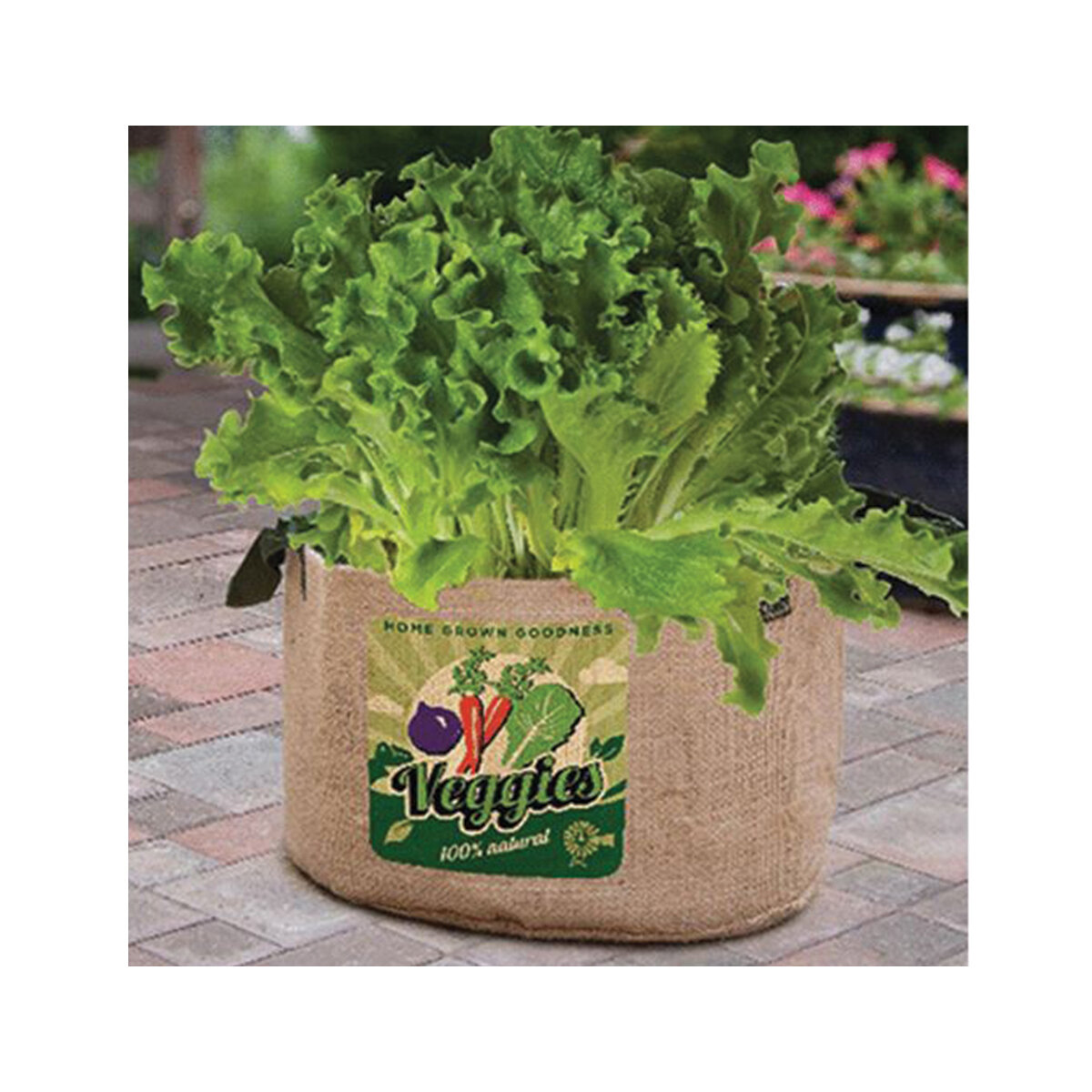 Veggies Grow Bag 5 Gal