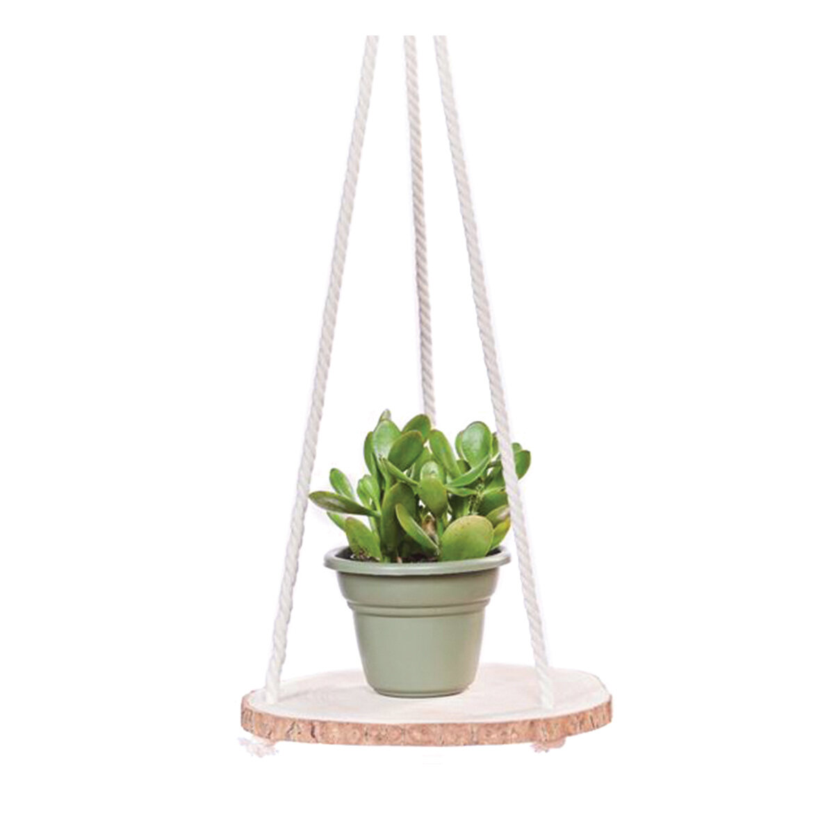 6 Inch Hanging Hardwood - Cotton