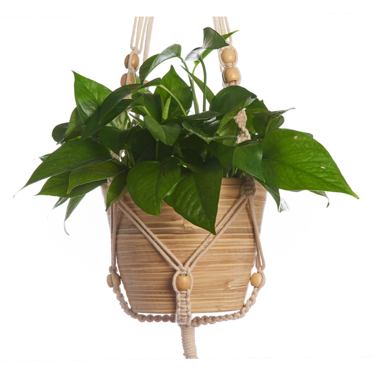 42" Beaded Cotton Woven Plant Hanger