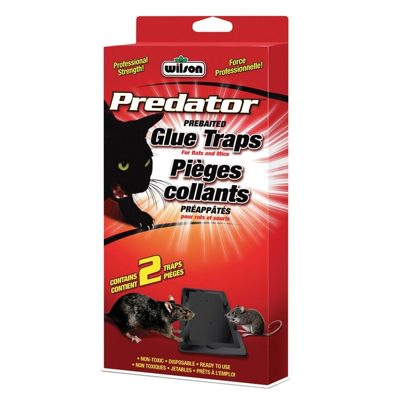Wilson Predator Rat Glue Trap (2pk) Wilson Predator Rat Glue Trap (2pk)