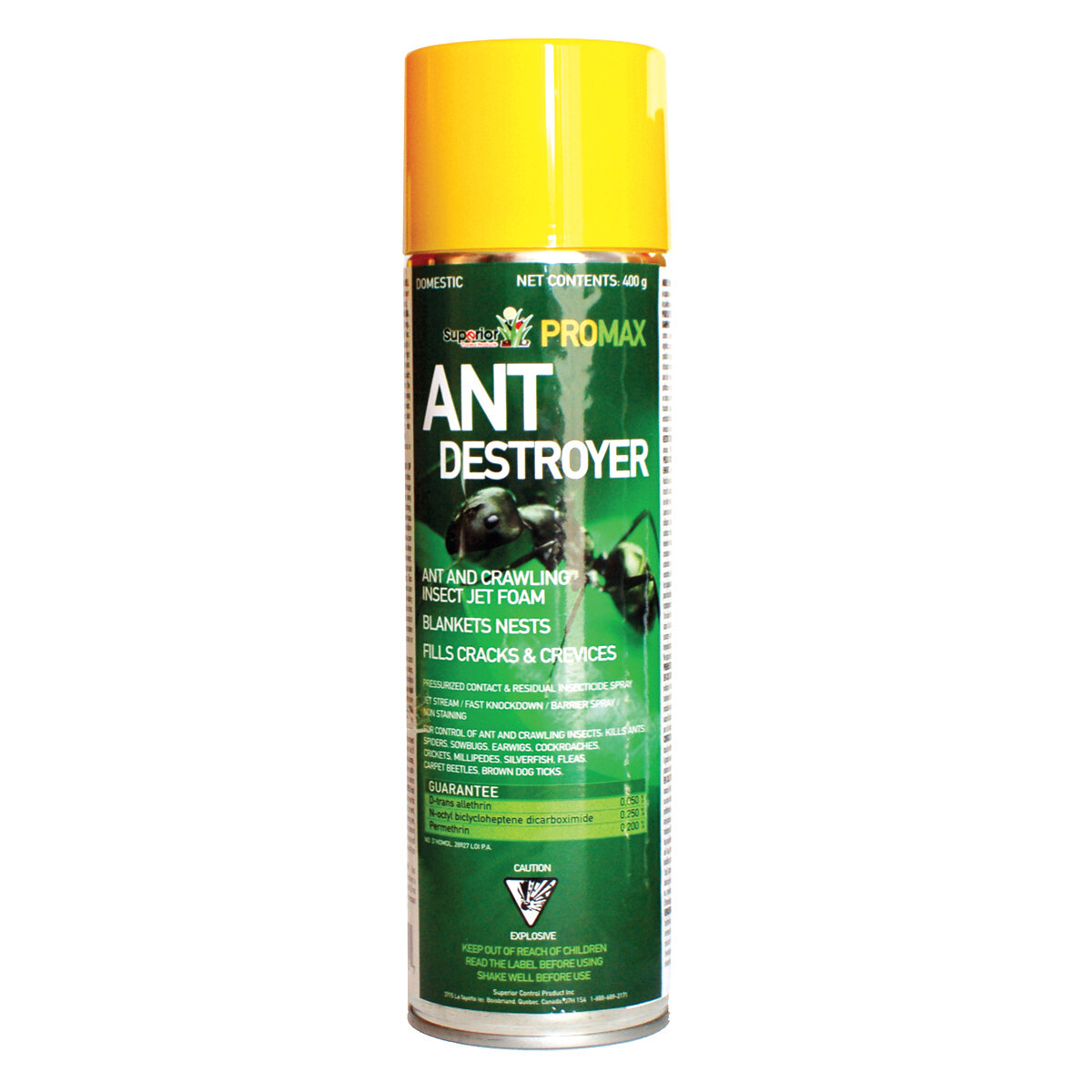 Ant & Crawling Insect Jet Foam 350g (CS ONLY)